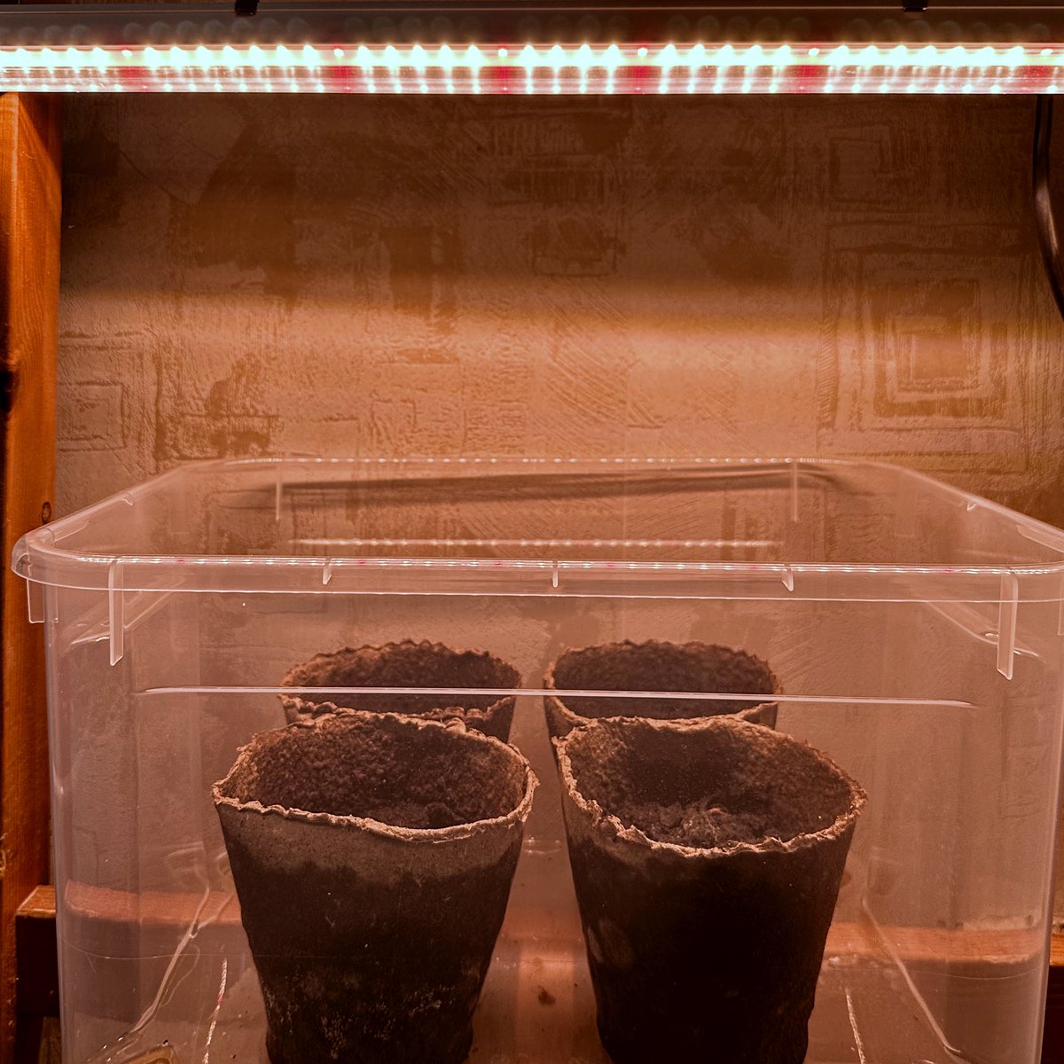 Денис Игнатов tweet media