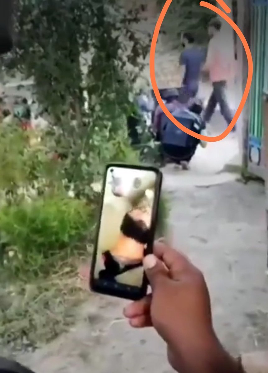 Bombardino Crocodilo (20-0) tweet media