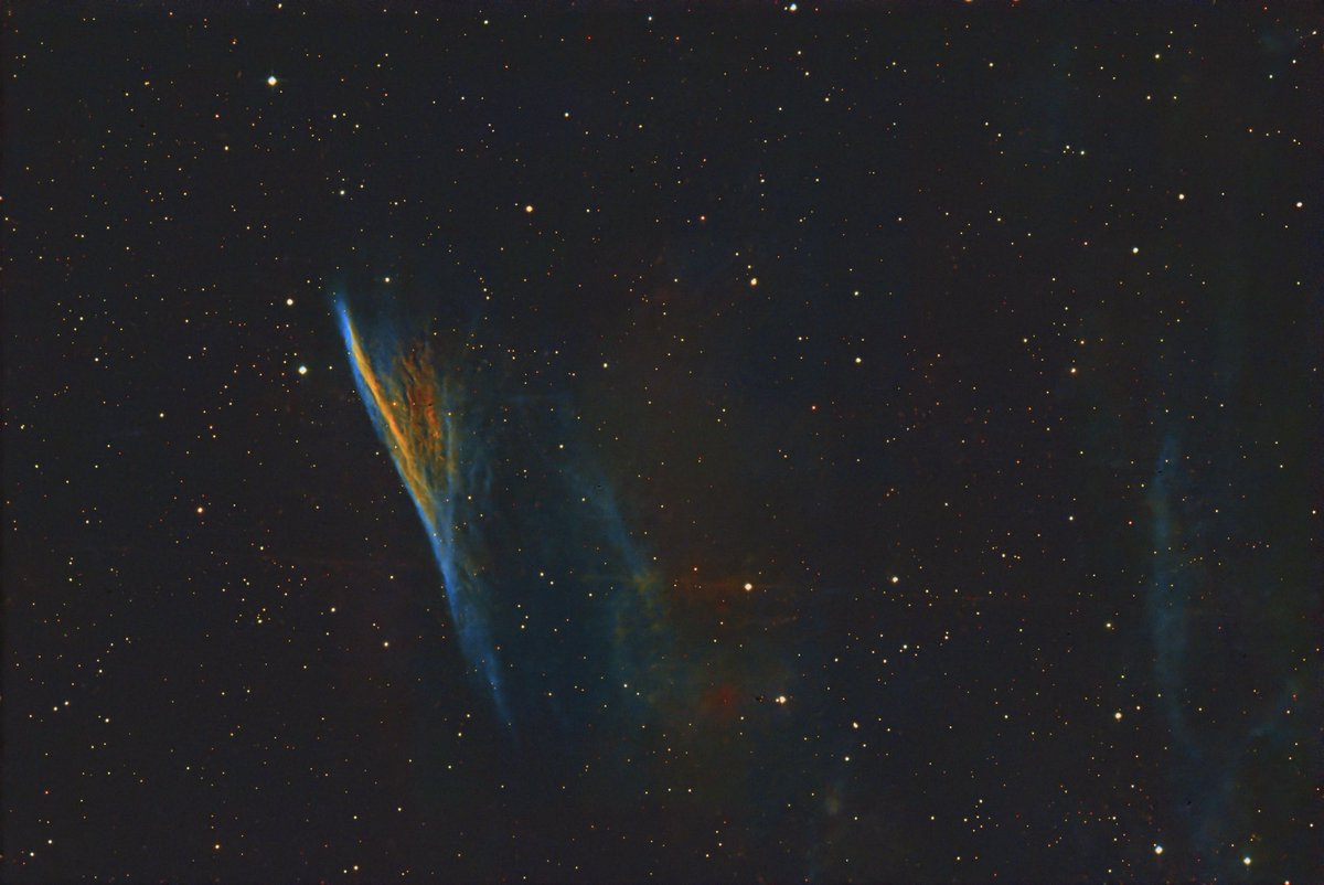 Hisa bow tweet media