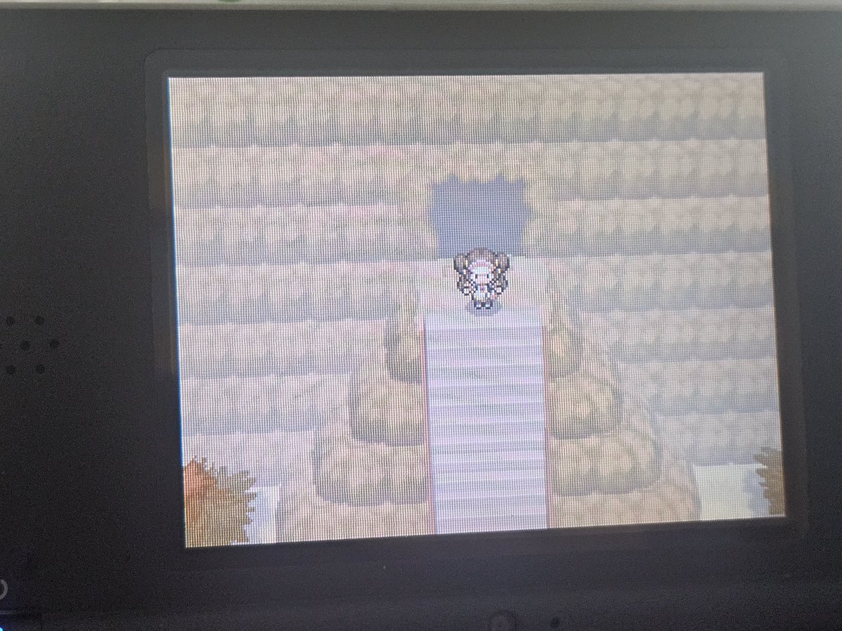 Diamara Curry 47 🇵🇸🇳🇨 tweet media