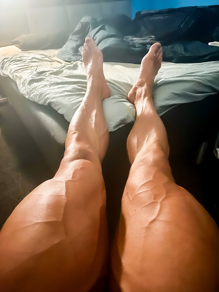 BERLIN DOMINATOR tweet media