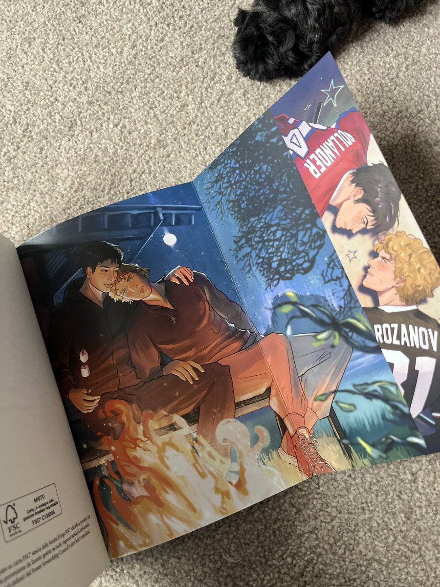 frances 🏒 tweet media