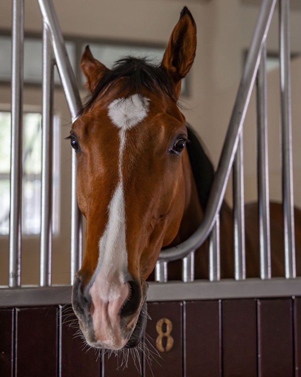 Dubai Racing Club tweet media