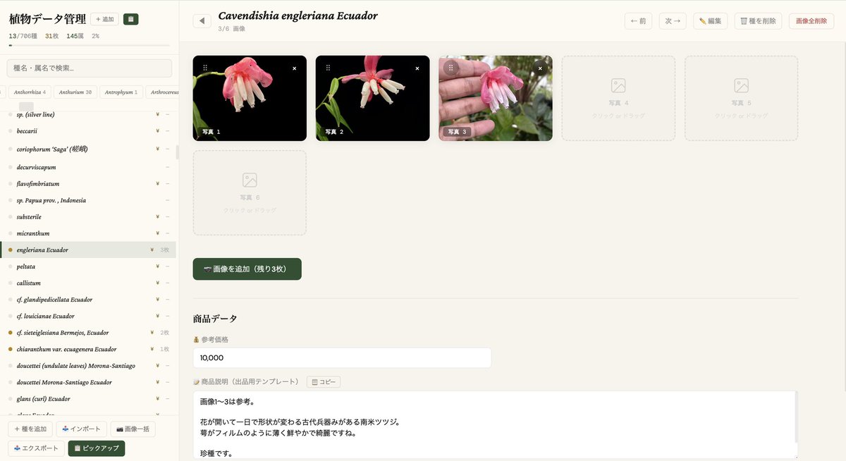 itome@伊藤蟻植物農園 tweet media