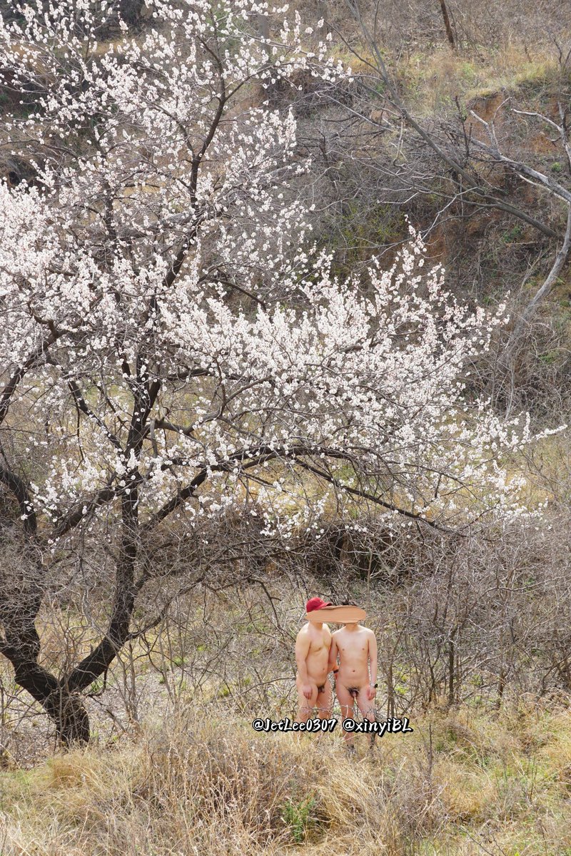 新一🌈 tweet media