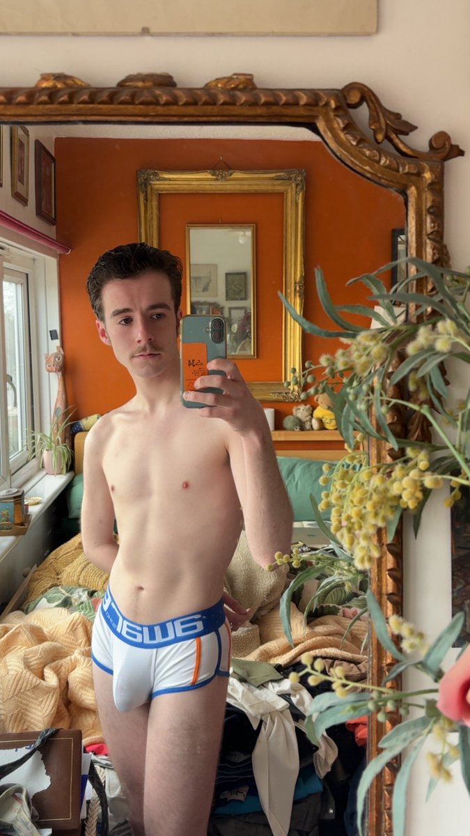 disco david tweet media