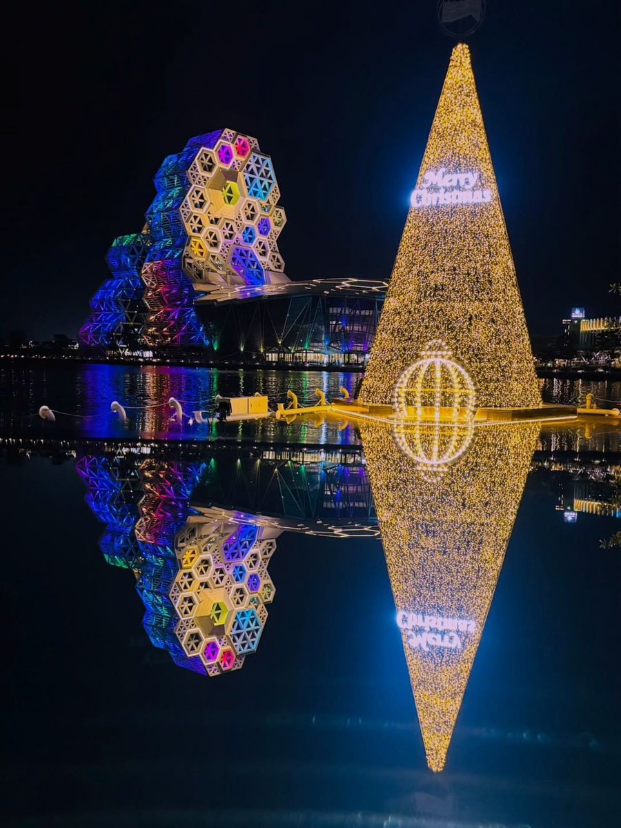 Edward Donoho tweet media