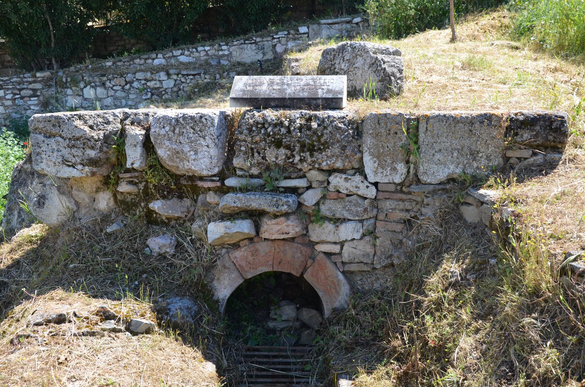 Following Hadrian tweet media