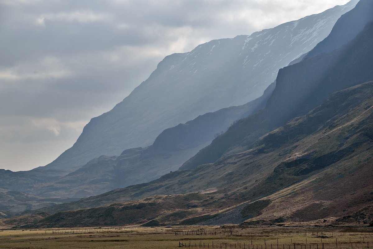 YorkshireLass tweet media