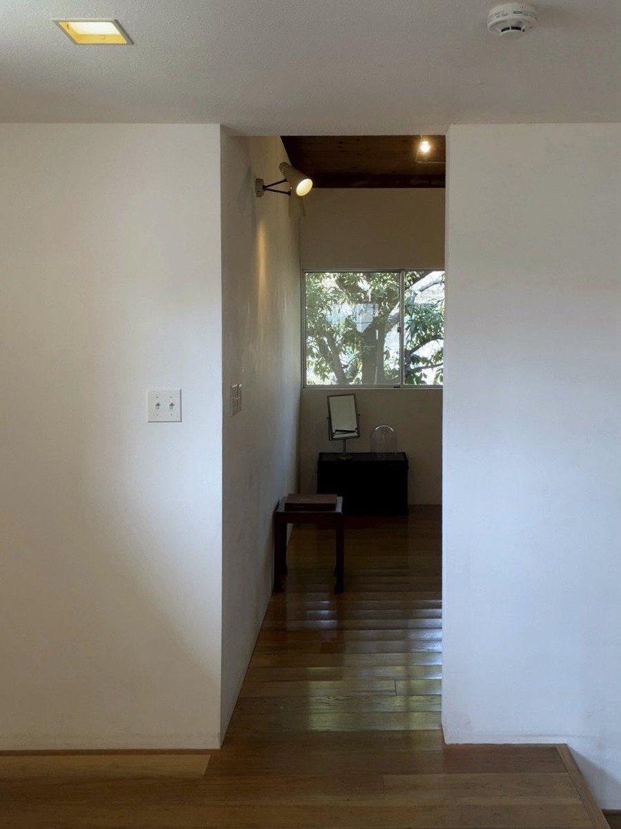  ︎︎ tweet media