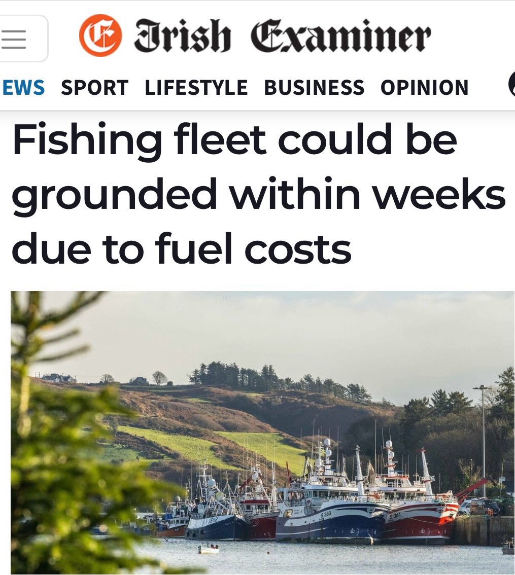 Nick Delehanty 🇮🇪 tweet media