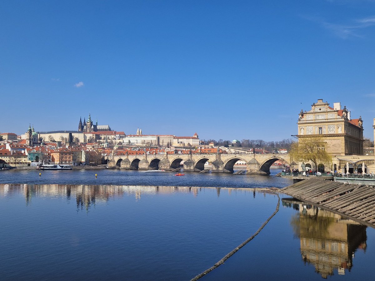 Michael Martens tweet media