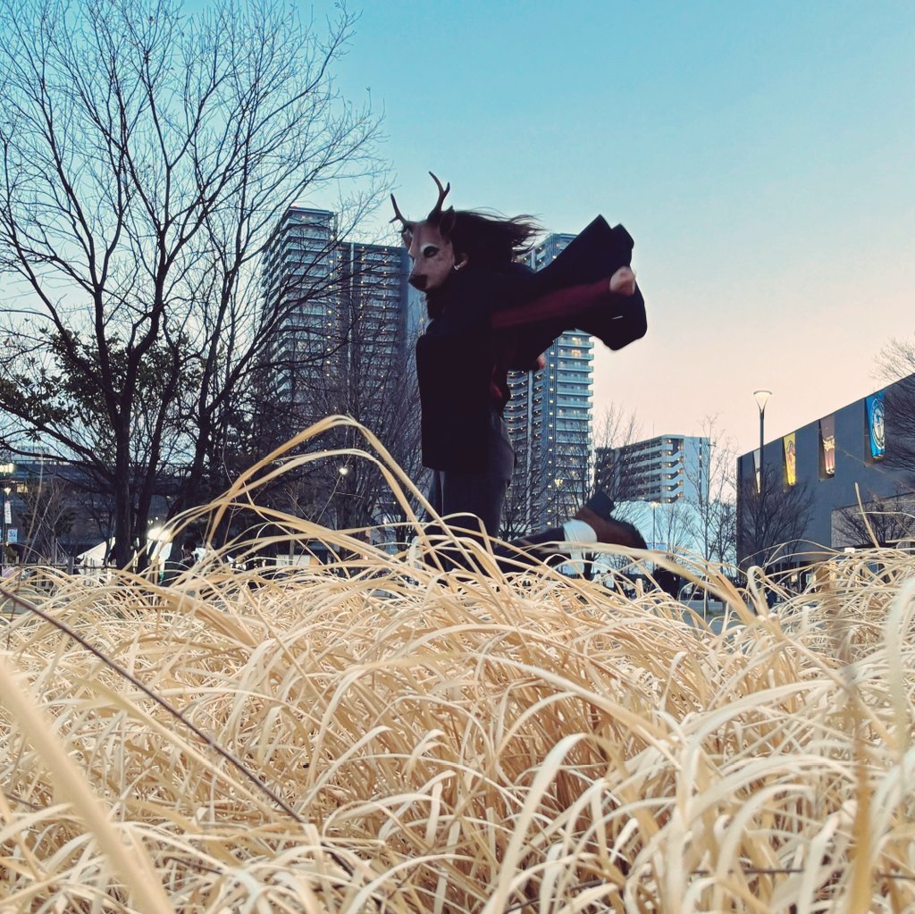 ことのは tweet media