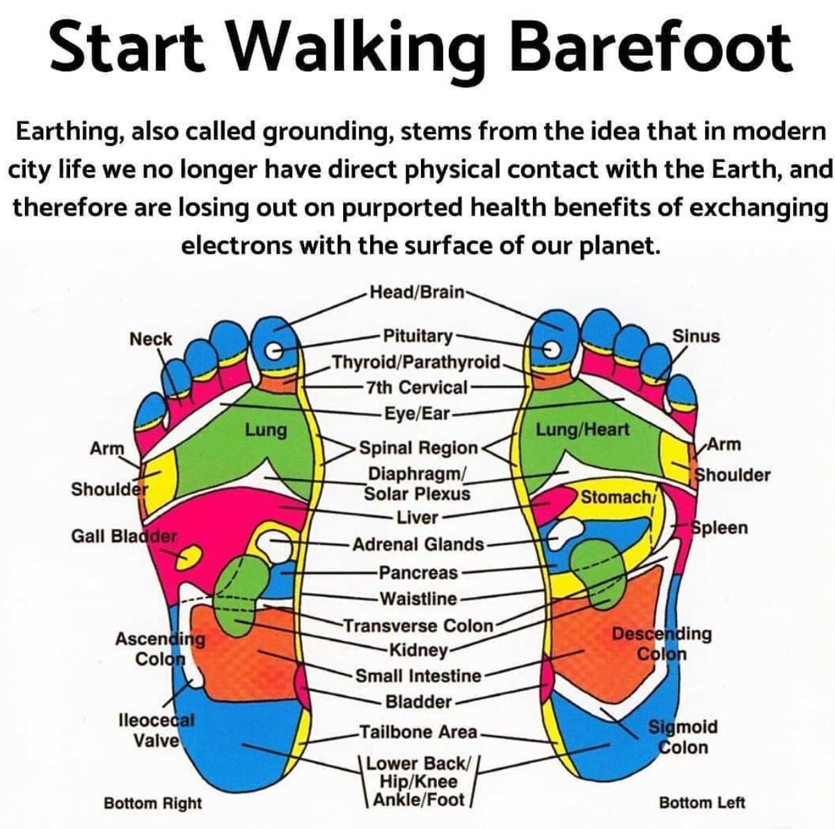 vegastar tweet media