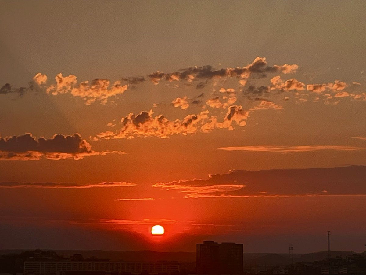 Carol M. Swain, PhD tweet media