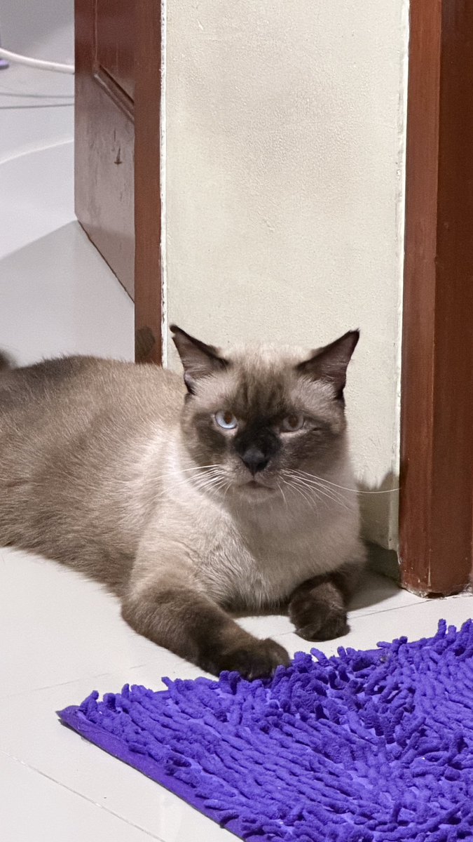 JUNOT ´･ᴗ･` tweet media