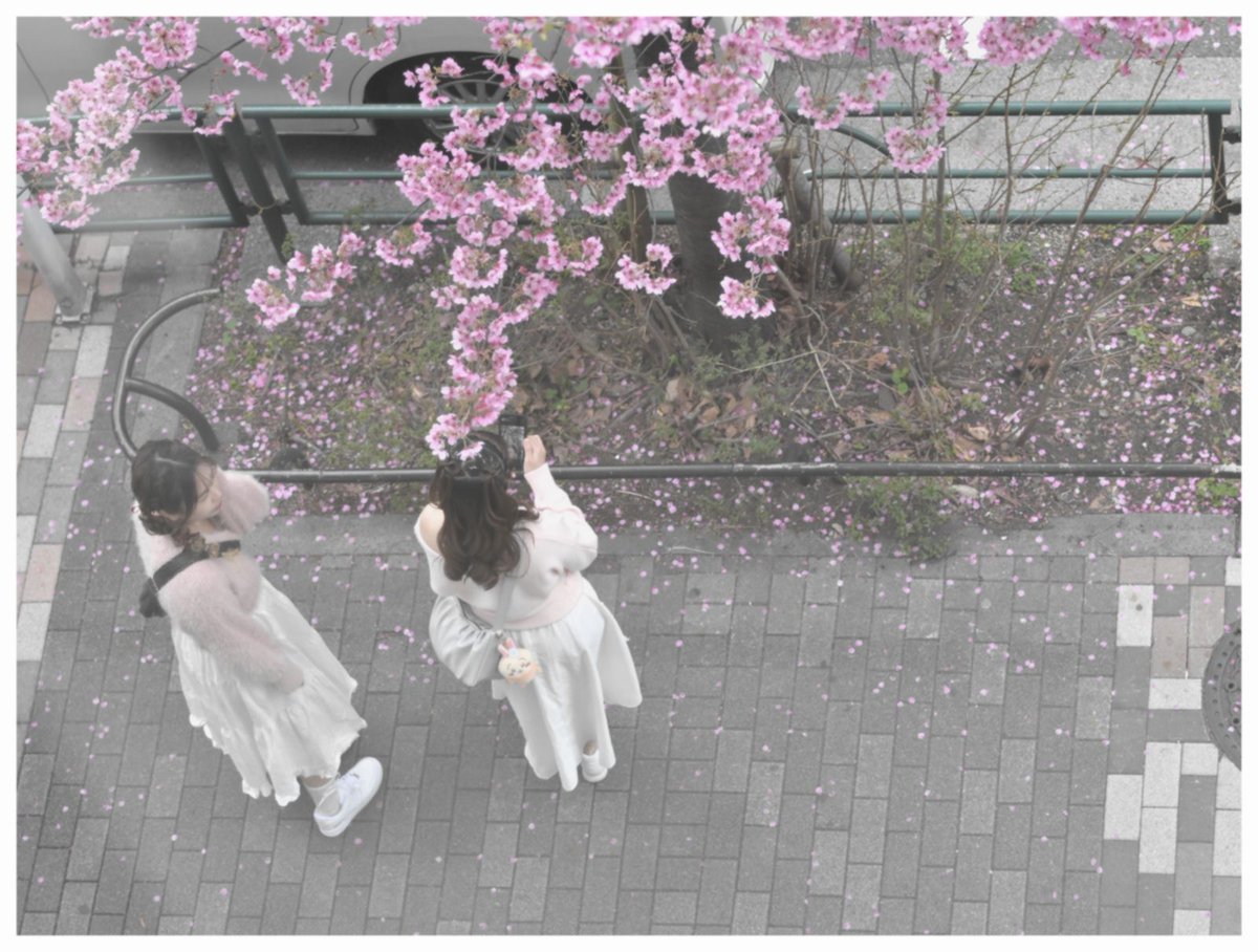 休ぱす tweet media