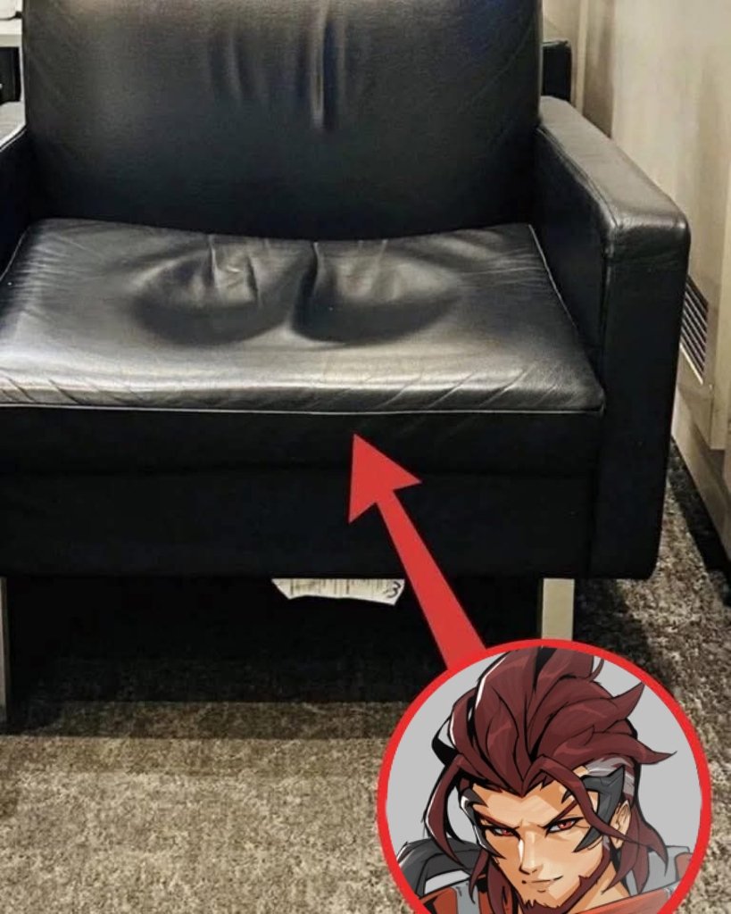 Shu 🦔 tweet media