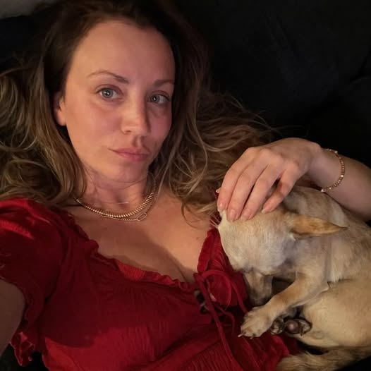 CuocoAddict tweet media