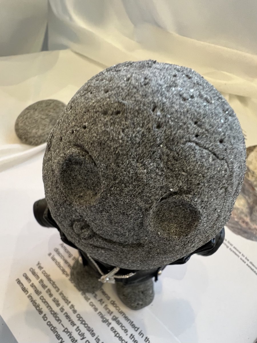 양말🍓 tweet media