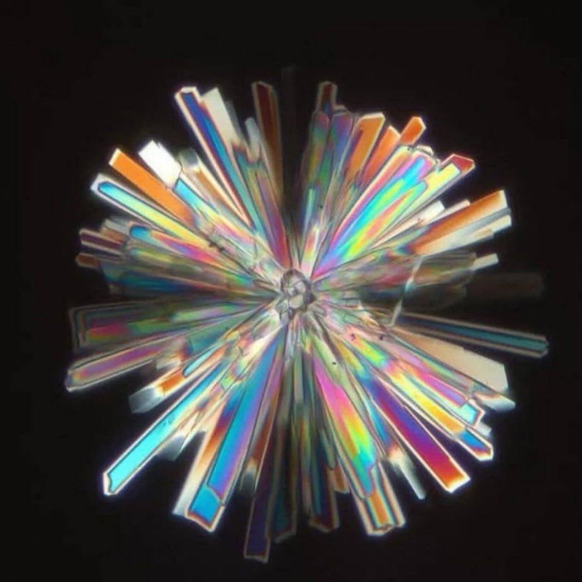 「これ、何だと思いますか？実は25倍に拡大した『生ハチミツ』なんです。
結晶が重なり合って、まるで宇宙に咲く花みたい。本物のハチミツの中には、こんなに美しい世界が隠れているんですね…！」自然の巡りの法則です。