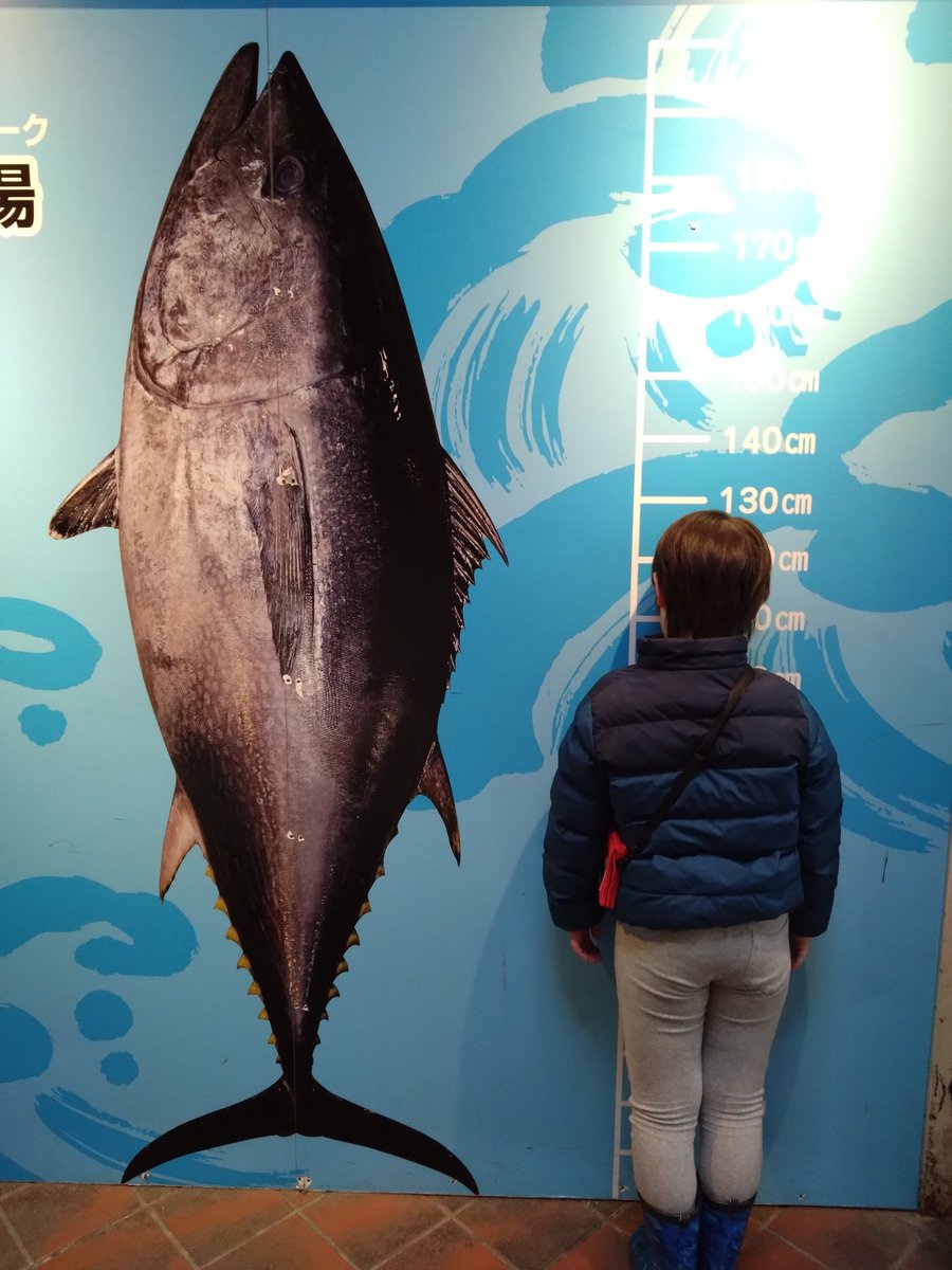 にき🐥 tweet media