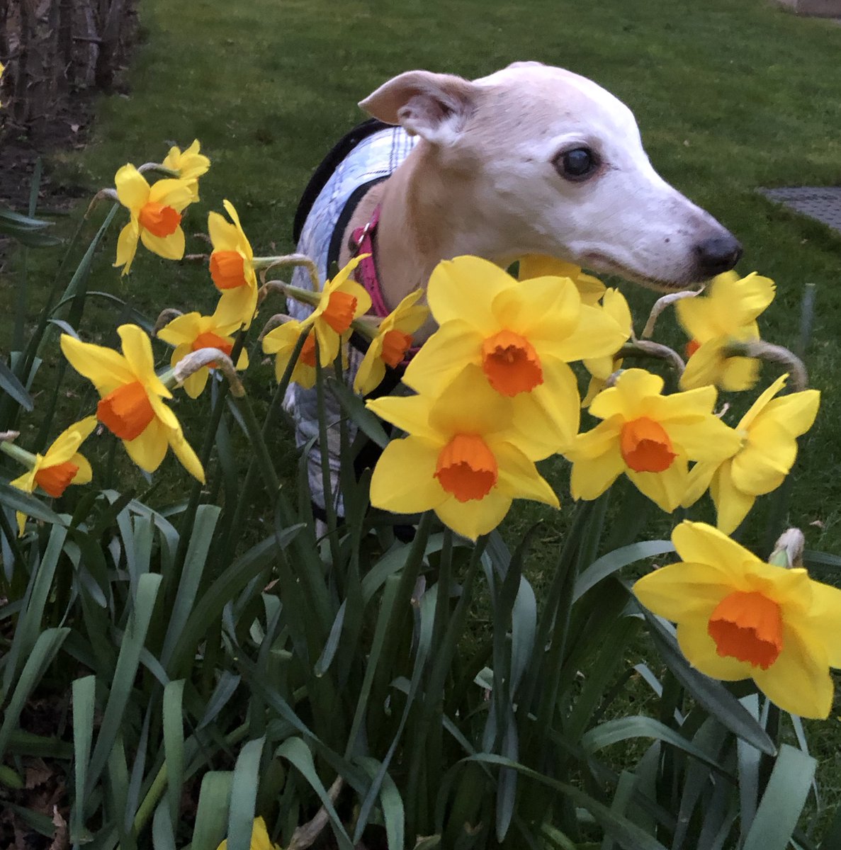 Kai 🌈& Co tweet media