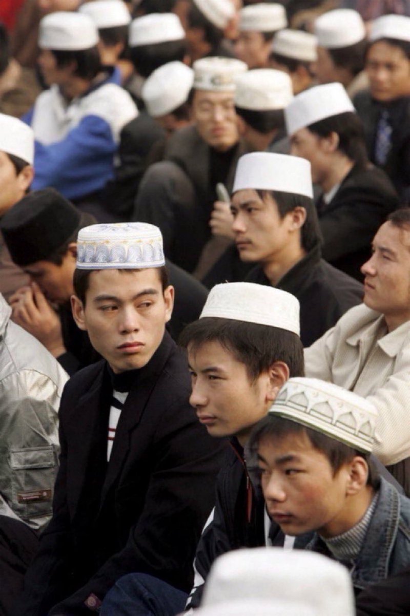 Halal Nation ☪︎ tweet media