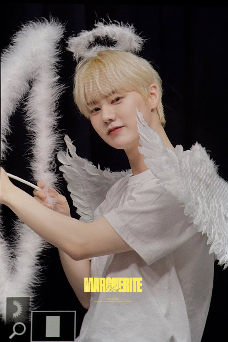 MARGUERITE tweet media