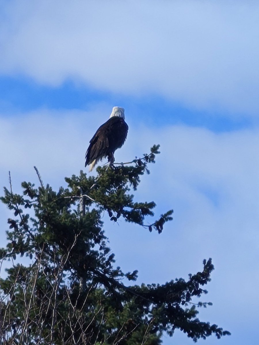 Robert Smit tweet media