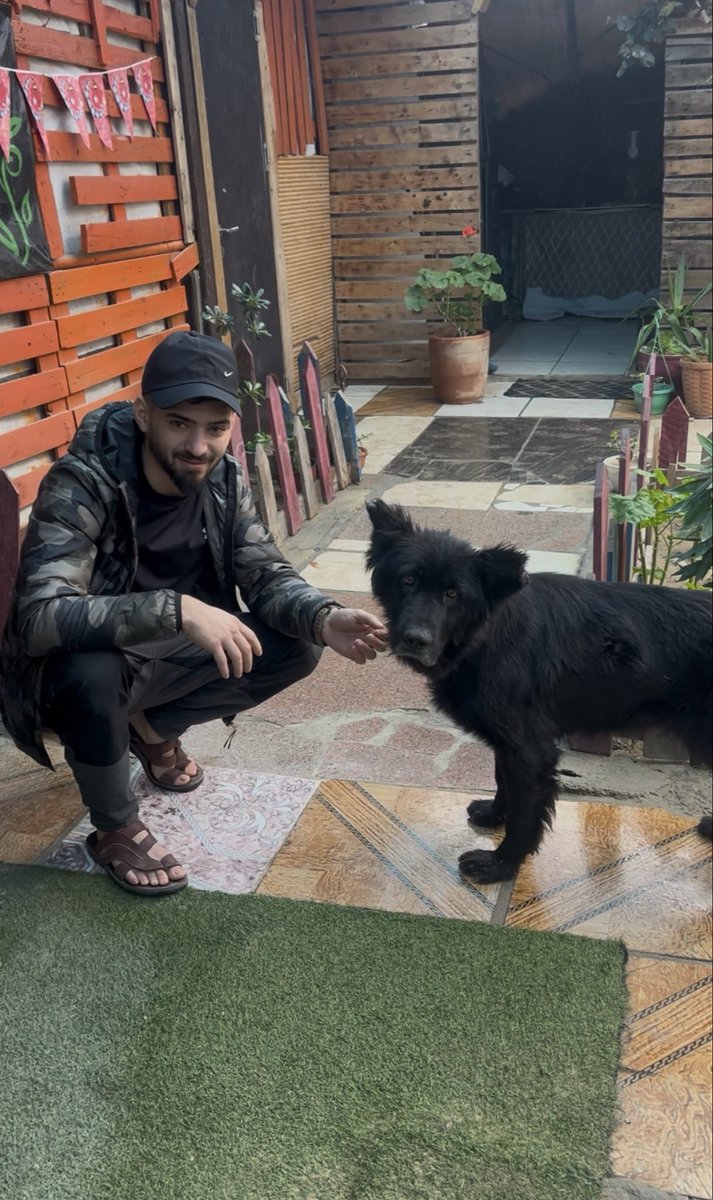 Salam animal care tweet media