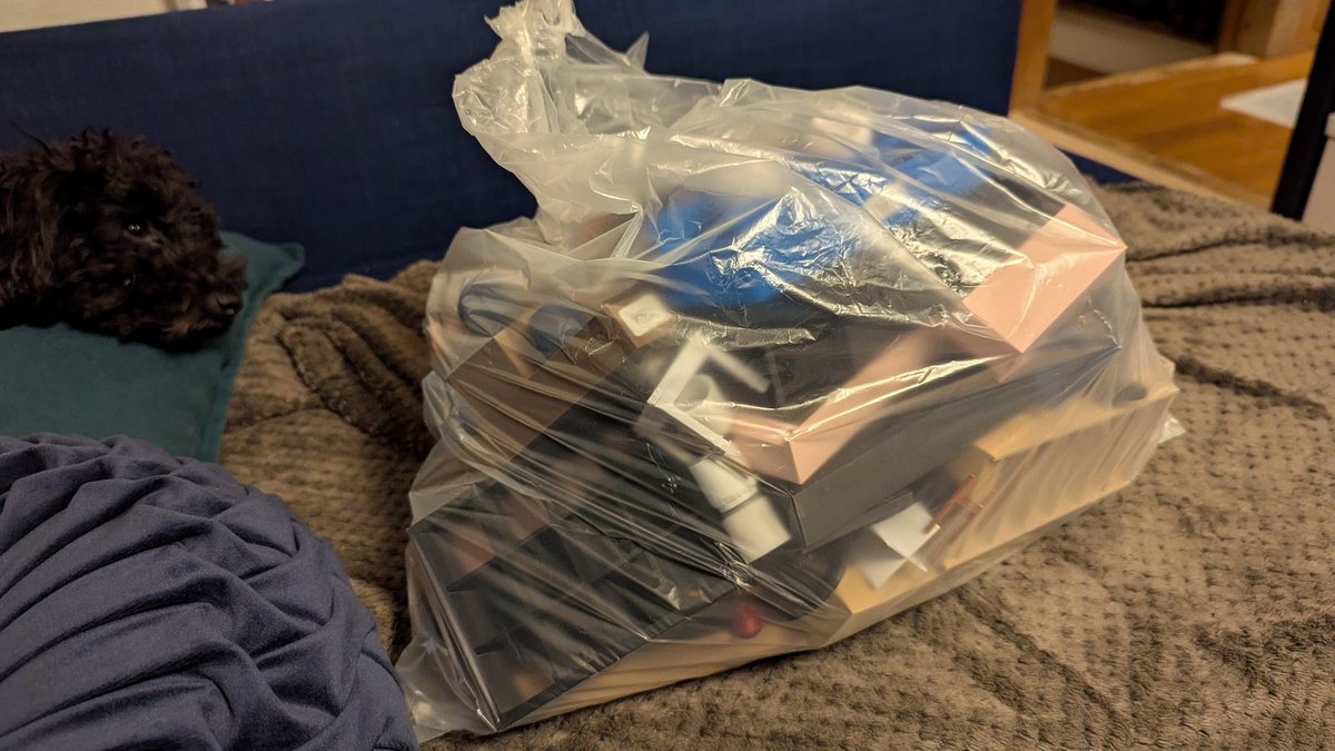 Caitlin Austin tweet media