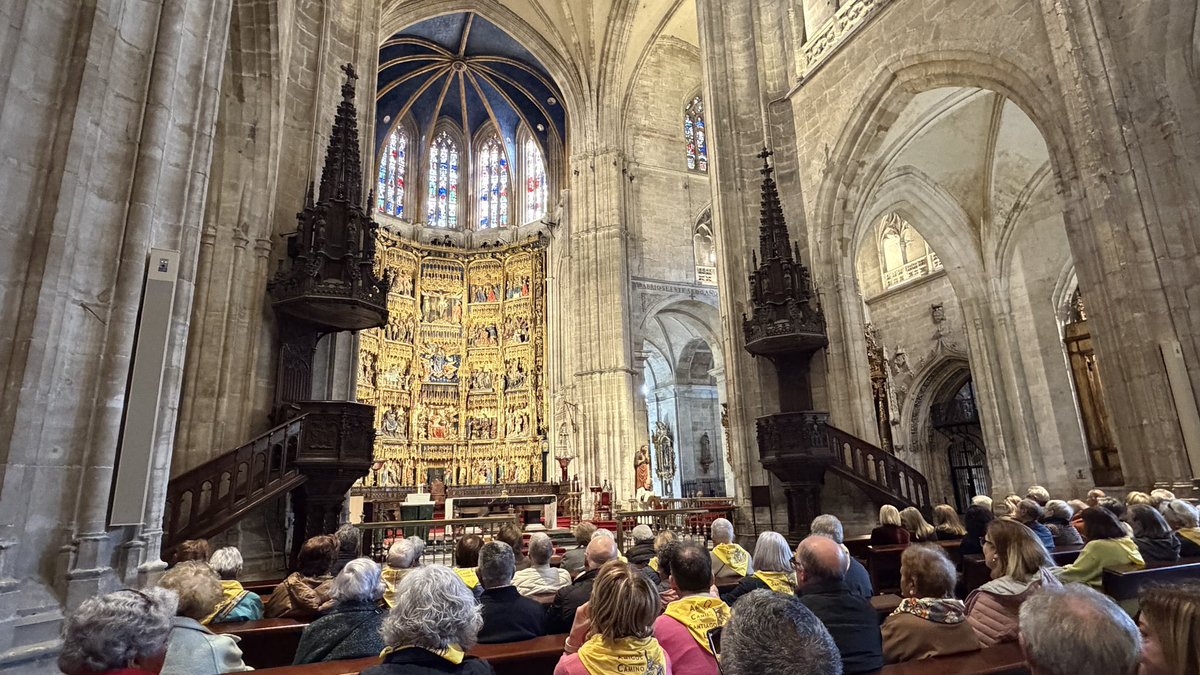 Jaén Jacobea tweet media