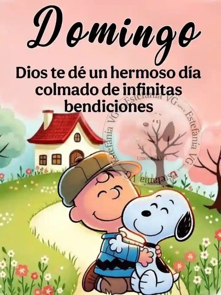 Aᥣᥱx Cᥲstro Cᥲbrᥱrᥲ tweet media