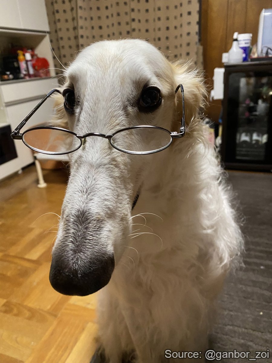 Borzoibot tweet media