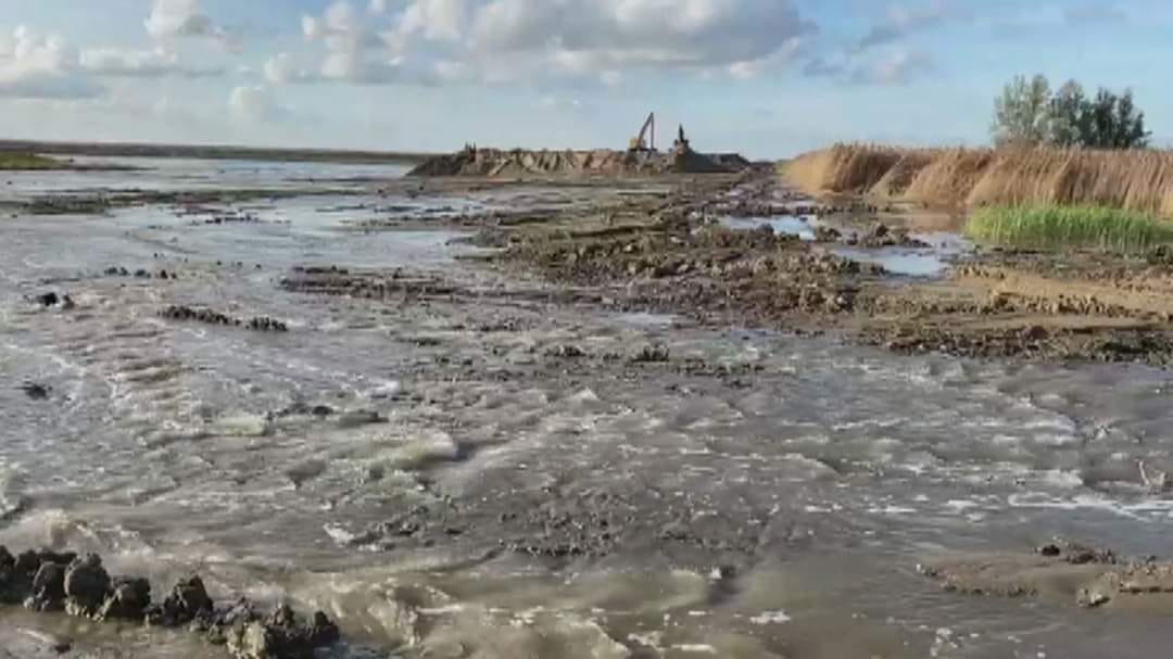 DOGE NOW tweet media