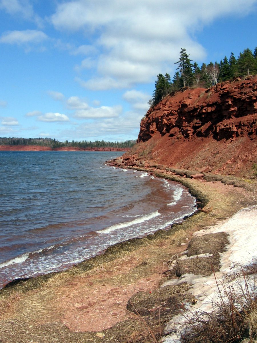 Always Anon PEI tweet media