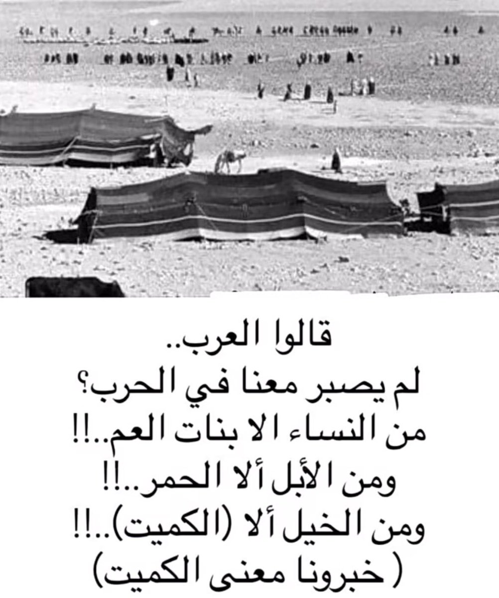 vip خاص نوادرالابل tweet media