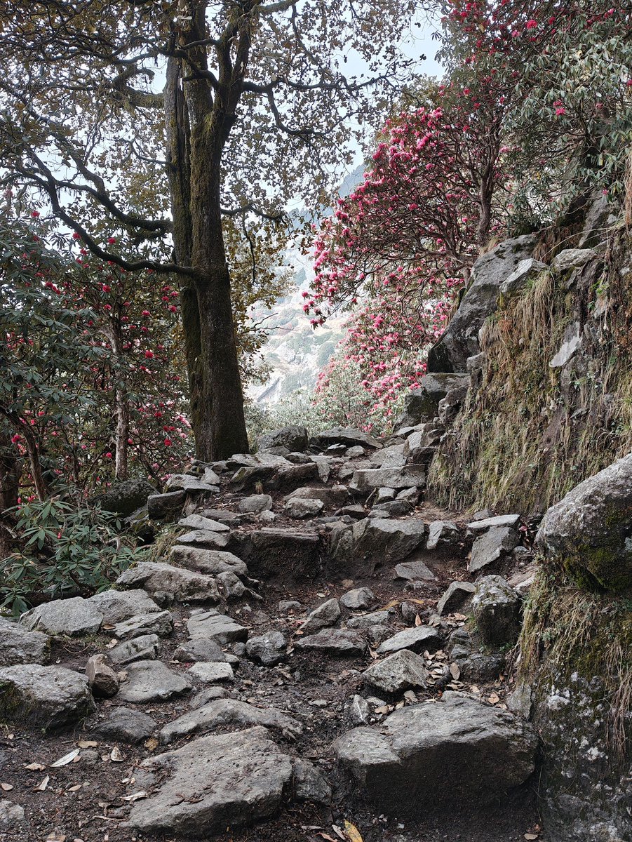 Think In Points tweet media