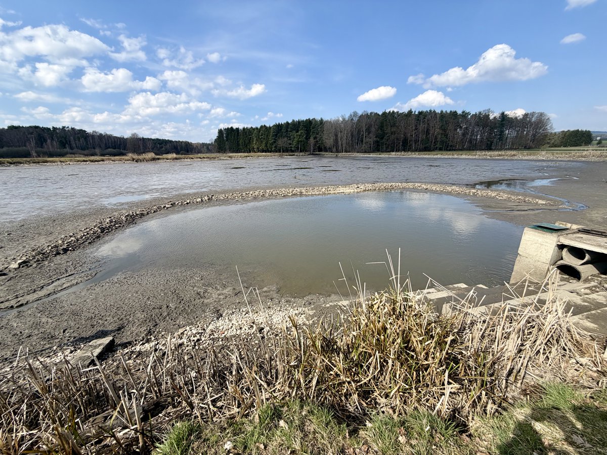 Markus Raum tweet media