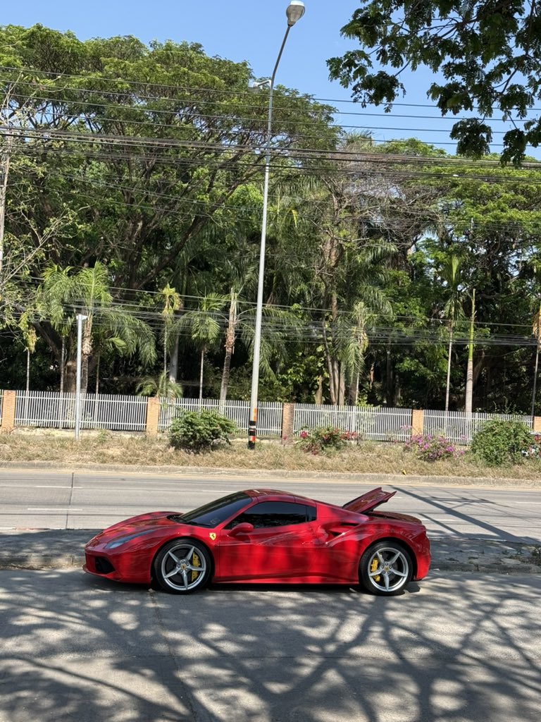 星星菌🦖| MemeMax⚡️ tweet media