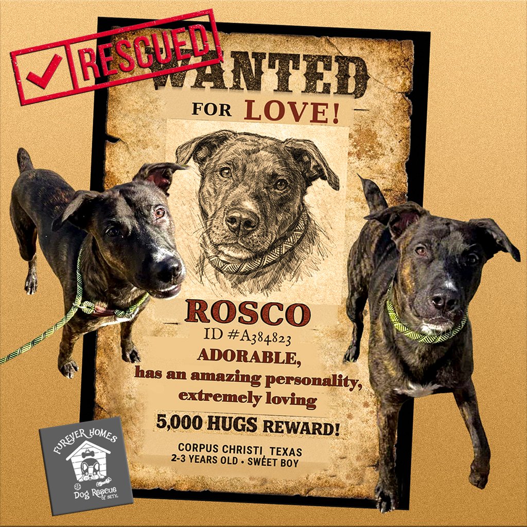 MSC1111 🇳🇱 tweet media