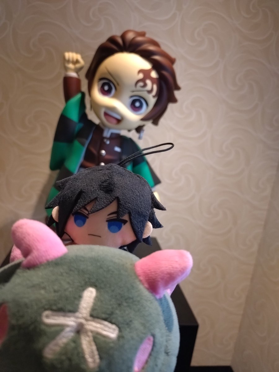 あらいぐまらっちゃん tweet media