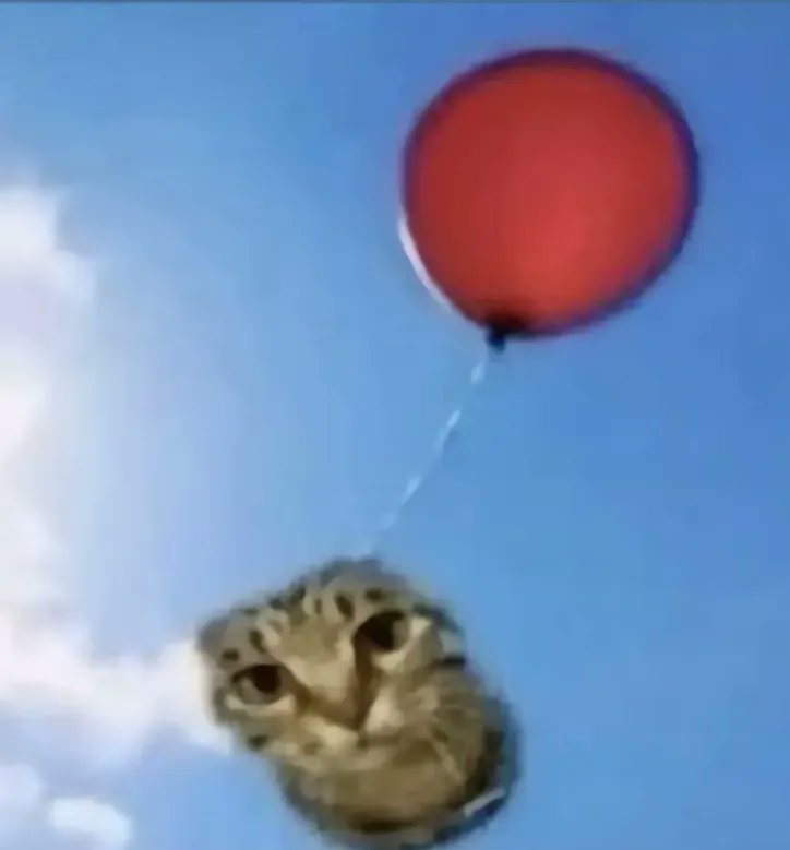 FurryFollowing tweet media