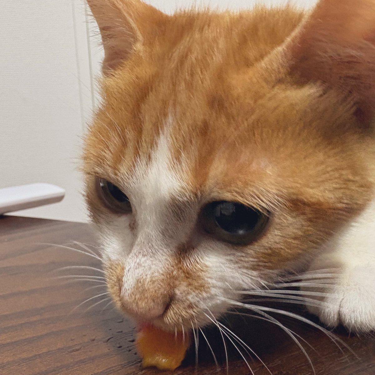 桃゚(momomaru) tweet media