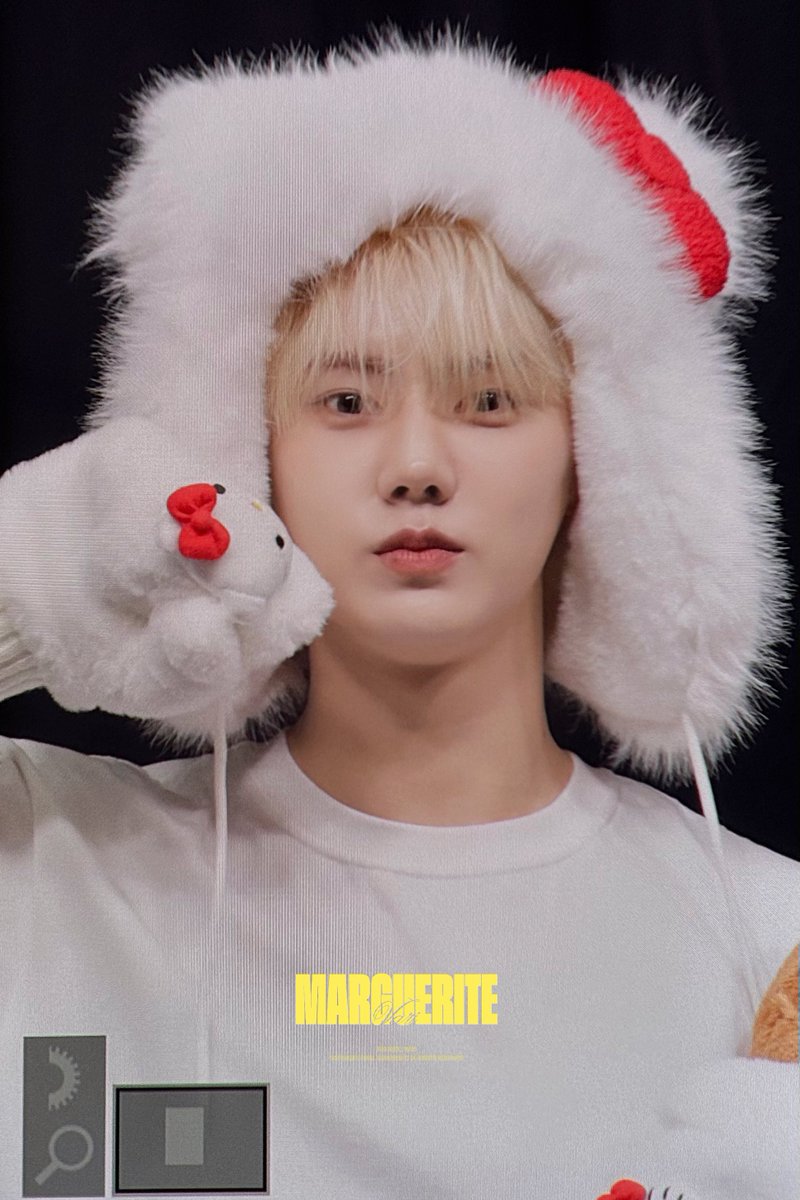 MARGUERITE tweet media