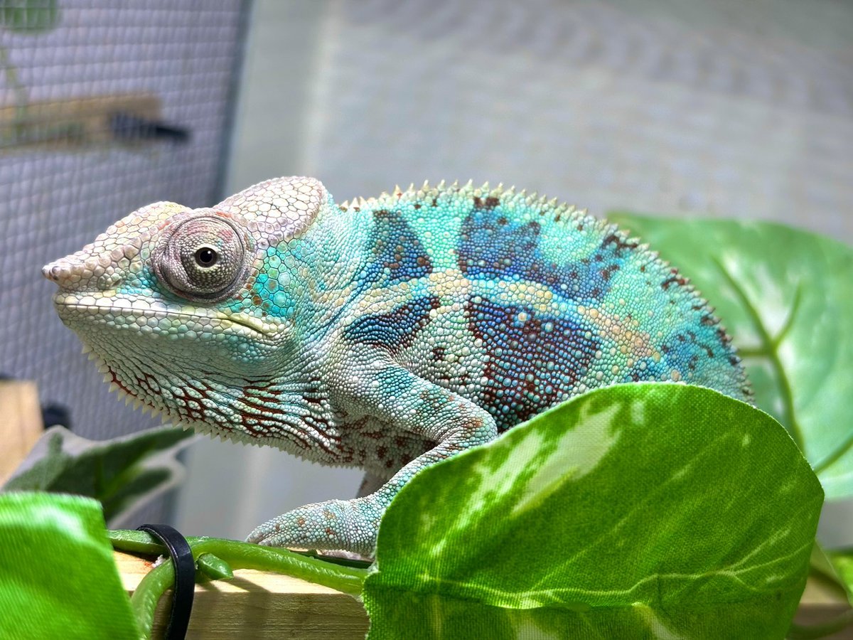 CANDLE 横浜店 tweet media