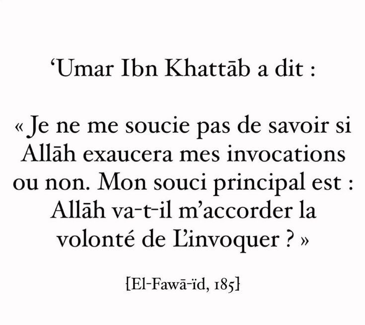 нιsseℓ'âмe ☪ 🇵🇸 tweet media