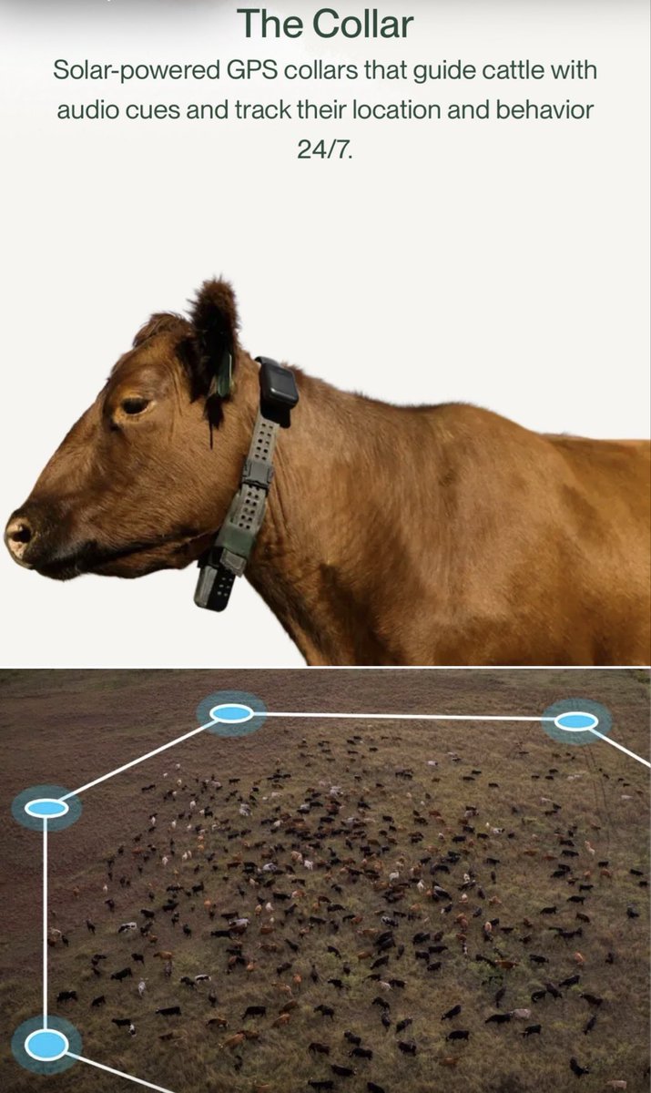 Niebezpiecznik tweet media