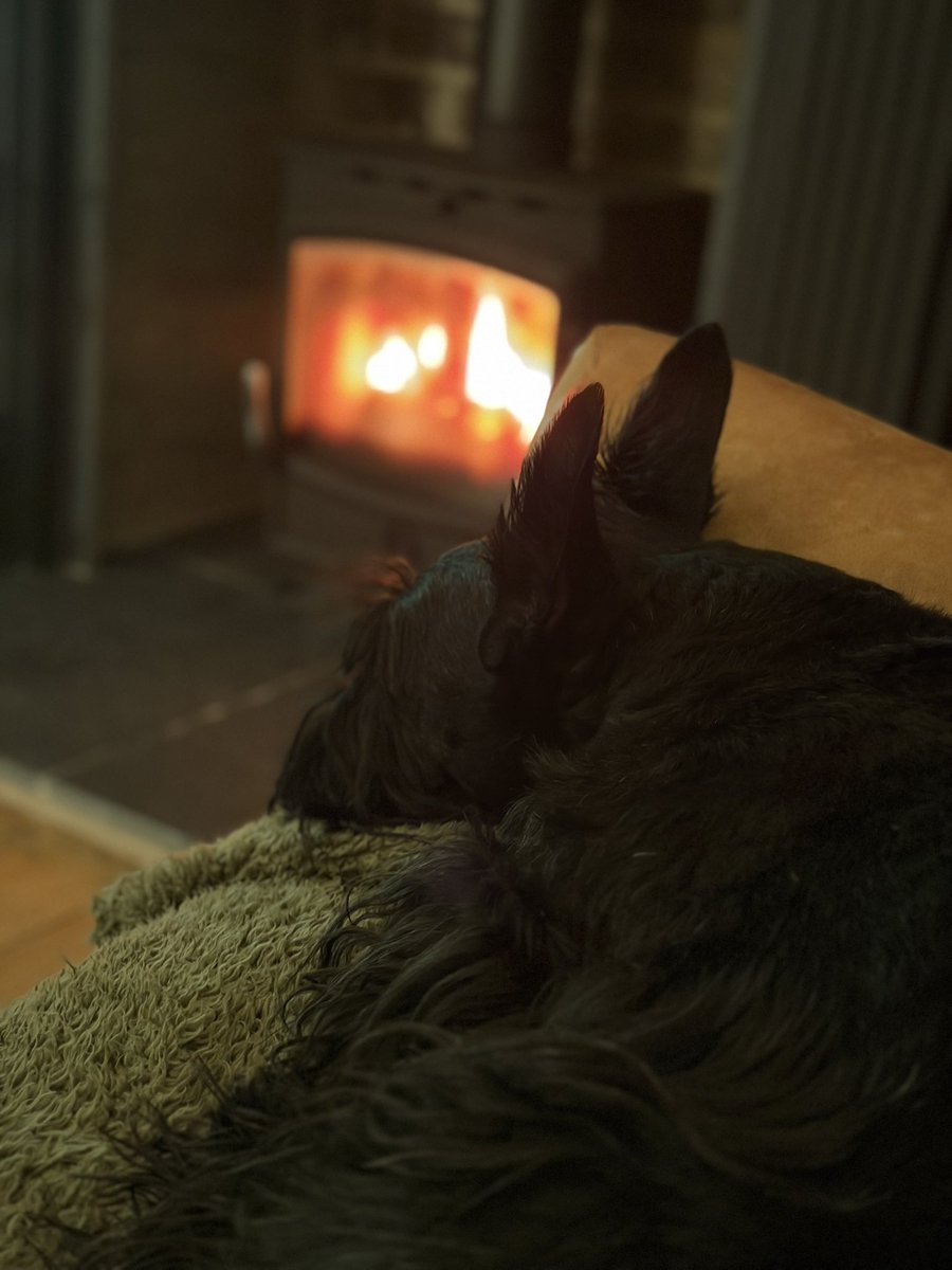 Mark Littlewood-Smart tweet media